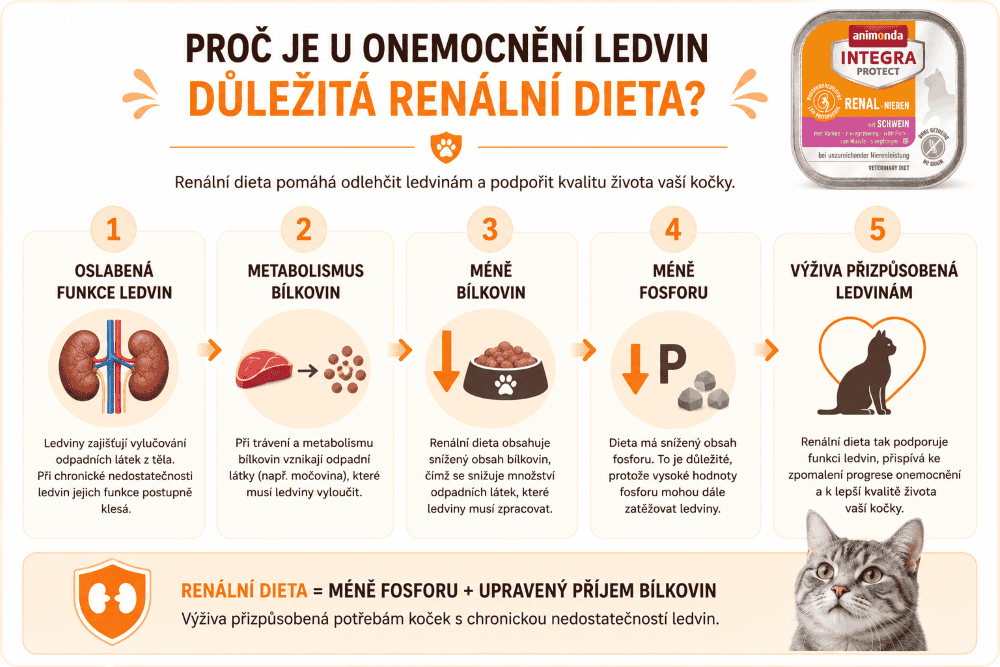 Renální dieta koček cesta ke zdravým ledvinám Integra Protect Pork